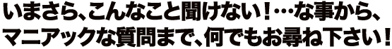 いまさら、こんなこと聞けない！…な事から、マニアックな質問まで、何でもお尋ね下さい！